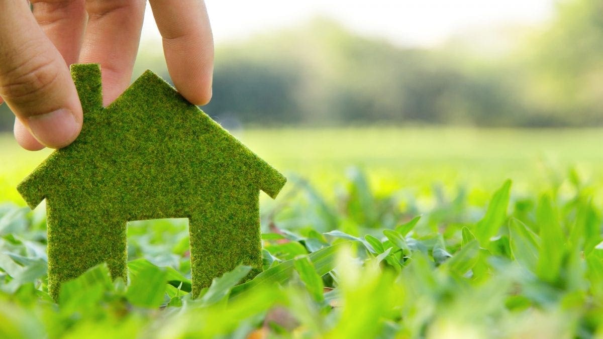 Eco-Friendly Painting Tips for a More Sustainable Home